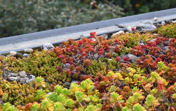 the cost of Great Burstead green roof installation