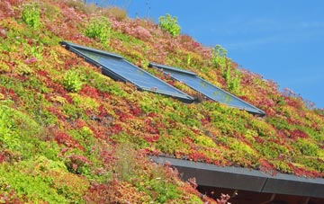 Great Burstead living roof systems