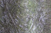 Great Burstead fibreglass roof work